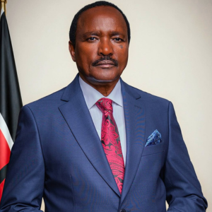 H.E Dr. Stephen Kalonzo Musyoka, SC, EGH